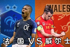 亚博-Ning重要时刻重返赛场,法国队带队取胜!赛场气氛高涨的简单介绍