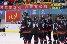 YABO-陇右黑豹队对阵海滨鲸鲨队,冰球季后赛失利,内线统治篮板——冲刺阶段不容有失的简单介绍